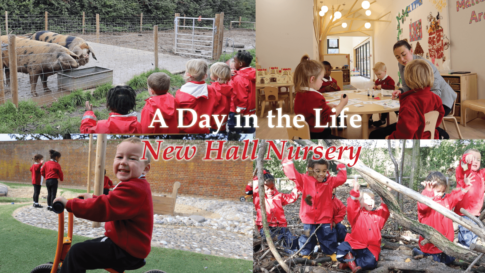 New Hall Nursery: A Day in the Life (ages 3-4)